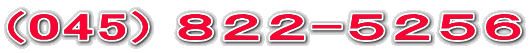 (045) 822-5256